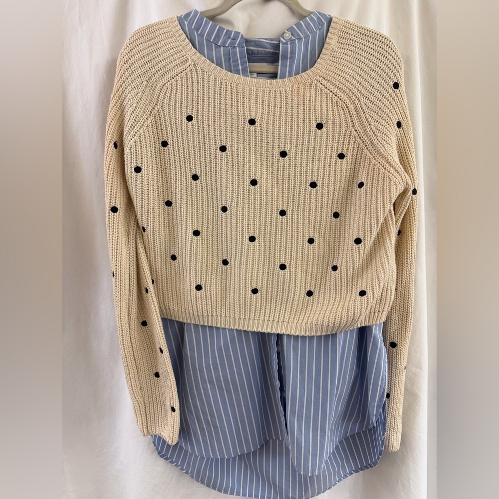 Polka Dot Knit Overlay Cropped Sweater - Cream and Black